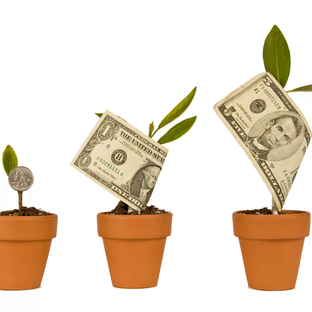 How Do Savings Accounts Work?